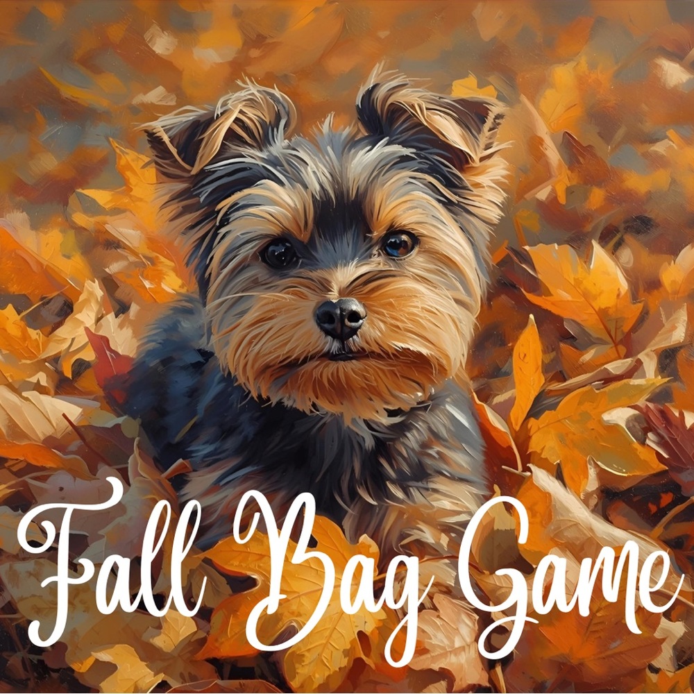 🎃 🍁 🍂 Fall Bag Game! 🍂 🍁 🎃
